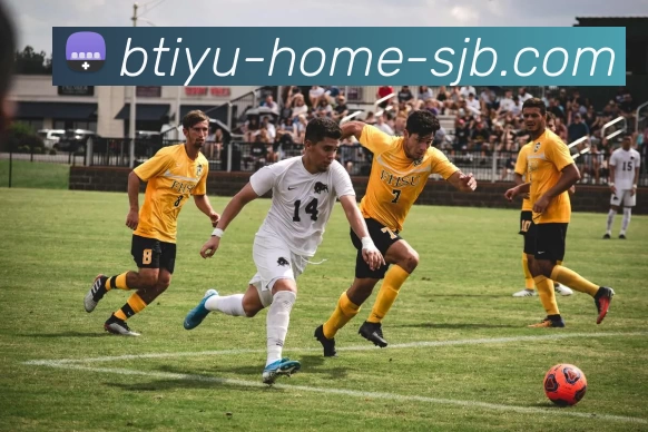 必一体育首页，必一体育，必一体育官网，必一体育入口，必一体育APP服务体系